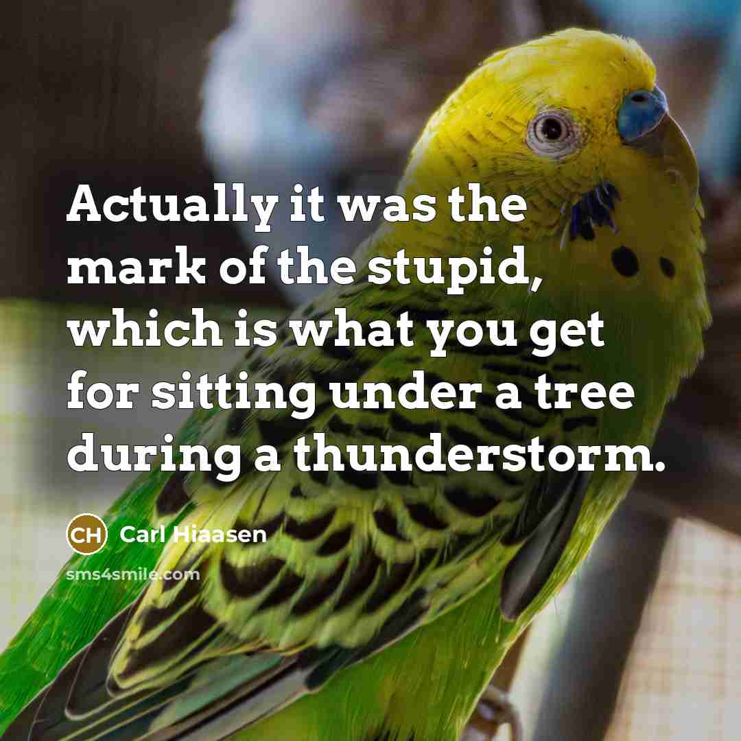 “Actually it was the mark of the stupid, which is…” quote by Carl Hiaasen