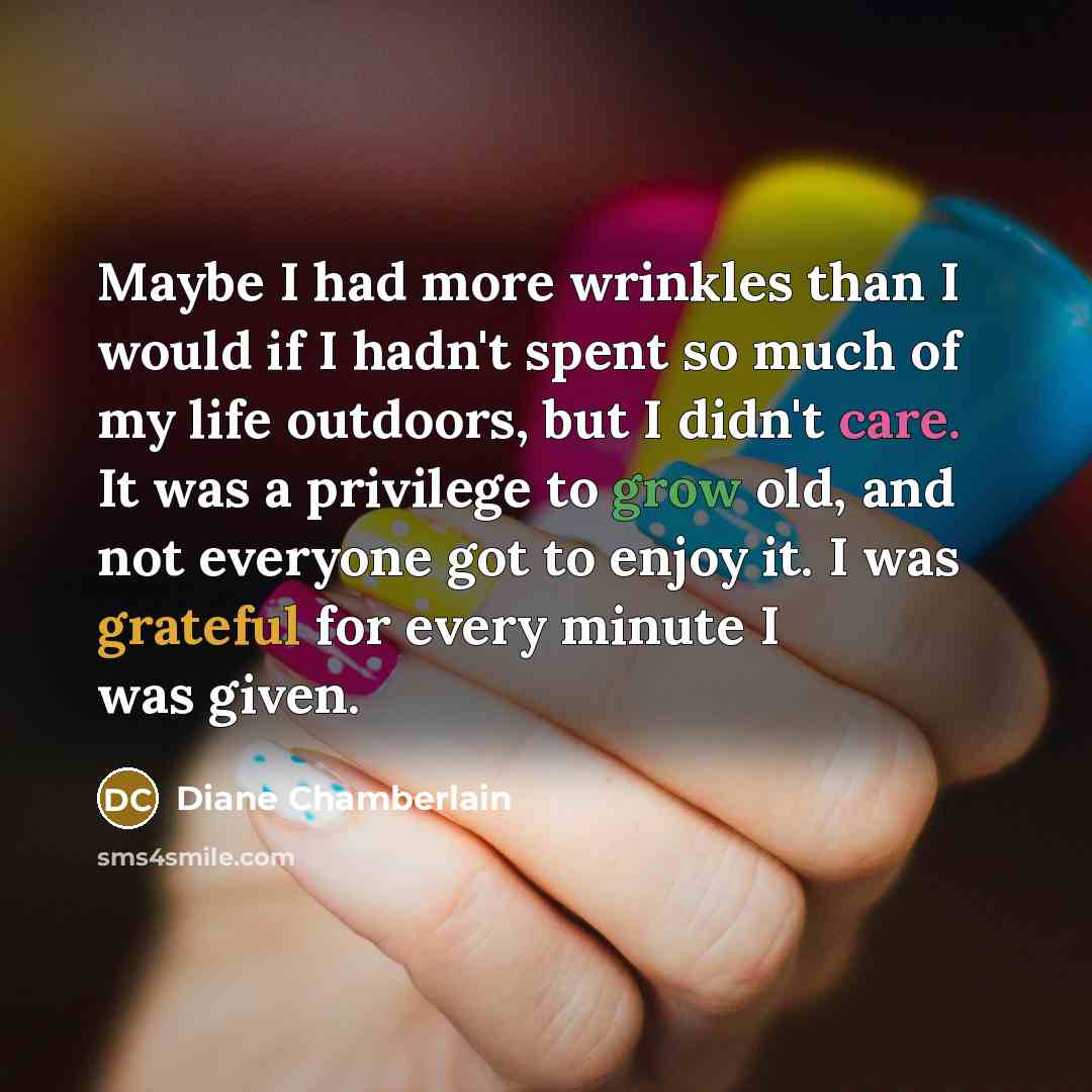 “Maybe I had more wrinkles than I would if I…” quote by Diane Chamberlain