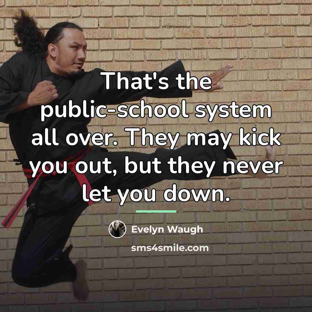 “That's the public-school system all over. They may kick you…” quote by Evelyn Waugh