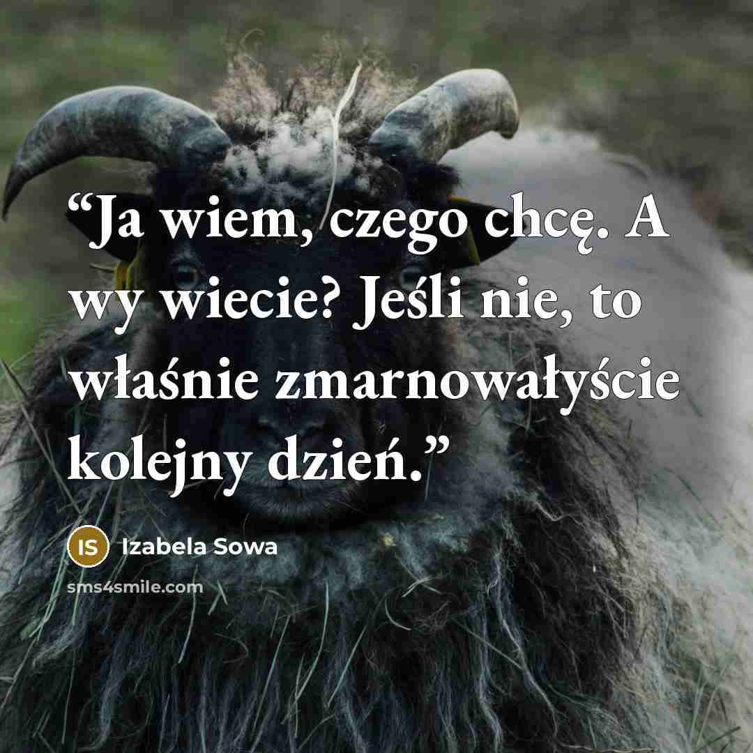 “Ja wiem, czego chcę. A wy wiecie? Jeśli nie, to właśnie zmarnowałyście kolejny dzień.” quote by Izabela Sowa