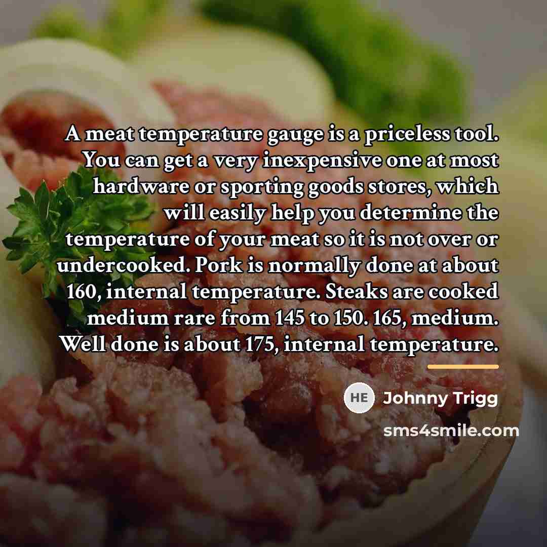 “A meat temperature gauge is a priceless tool. You can…” quote by Johnny Trigg