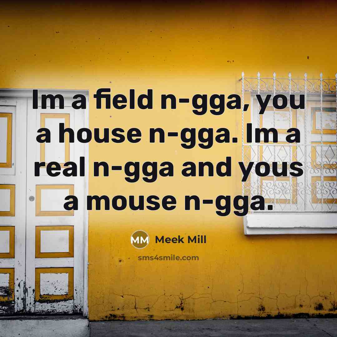 “Im a field n-gga, you a house n-gga. Im a…” quote by Meek Mill
