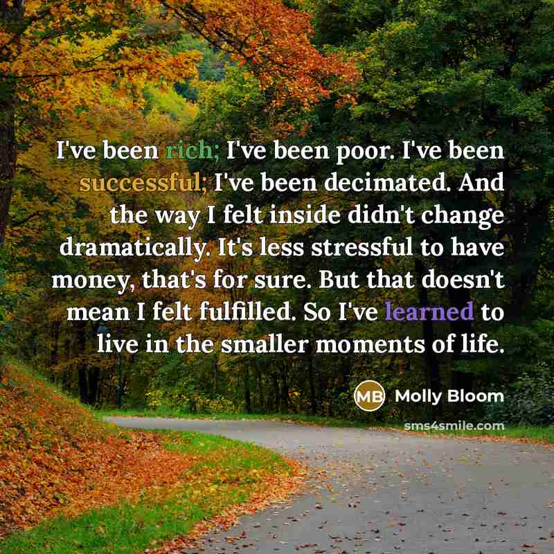 “I've been rich; I've been poor. I've been successful; I've…” quote by Molly Bloom