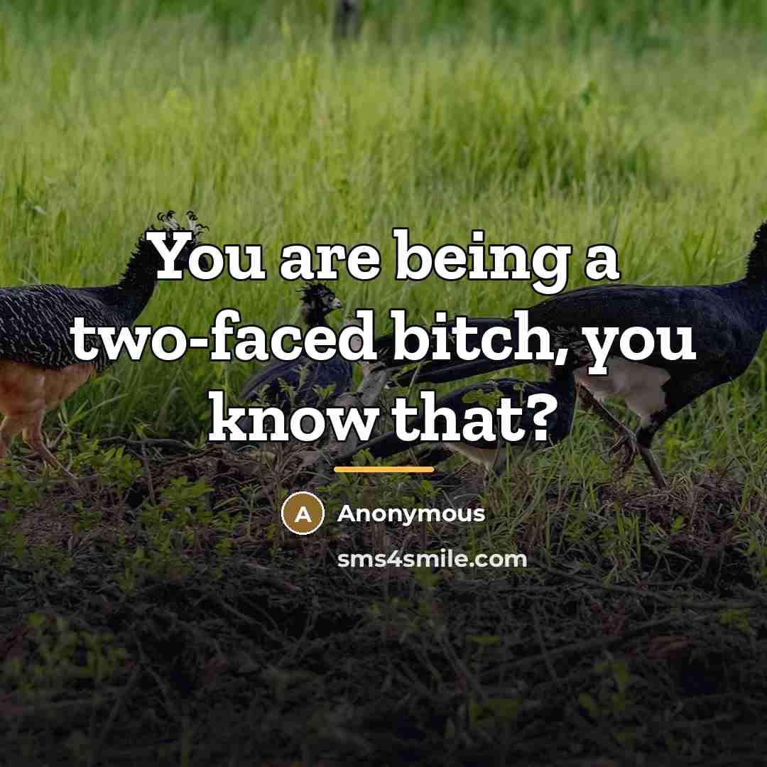 “You are being a two-faced bitch, you know that?…” quote by Anonymous