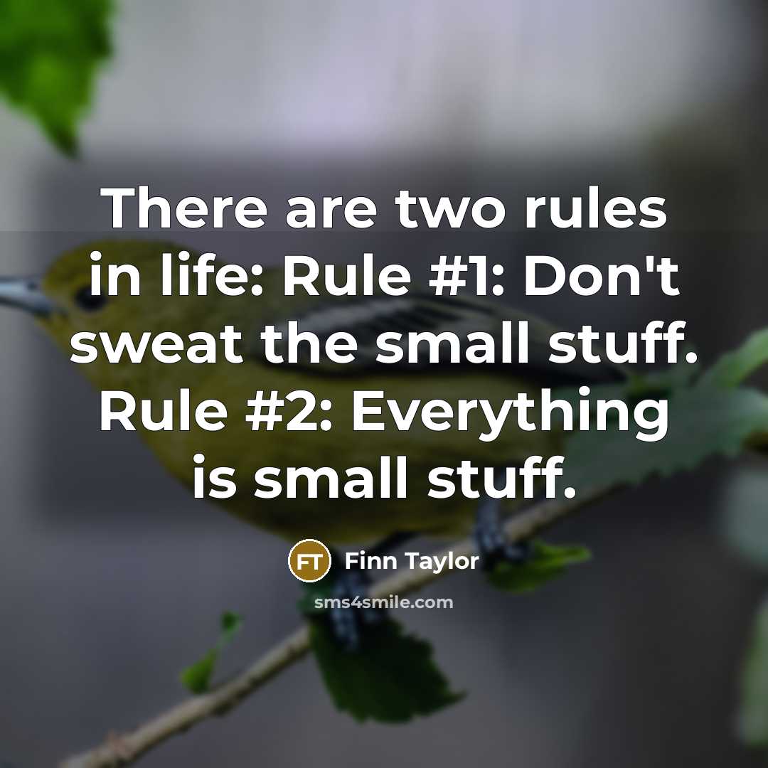 “There are two rules in life: Rule #1: Don't sweat the small stuff. Rule #2: Everything is small stuff.” quote by Finn Taylor