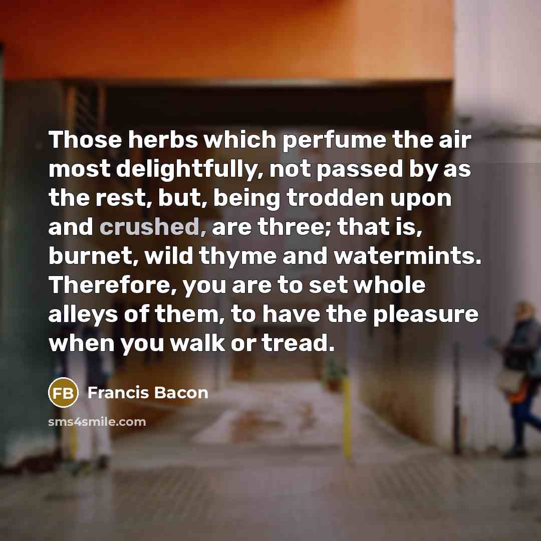 “Those herbs which perfume the air most delightfully, not passed…” quote by Francis Bacon