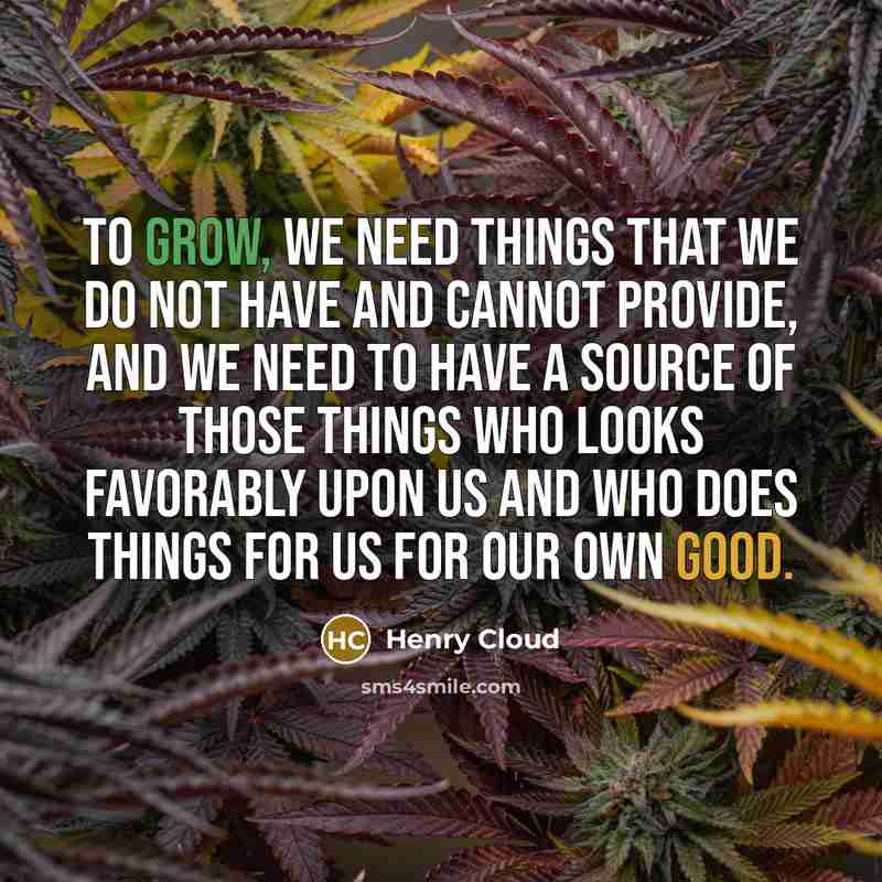 “To grow, we need things that we do not have…” quote by Henry Cloud