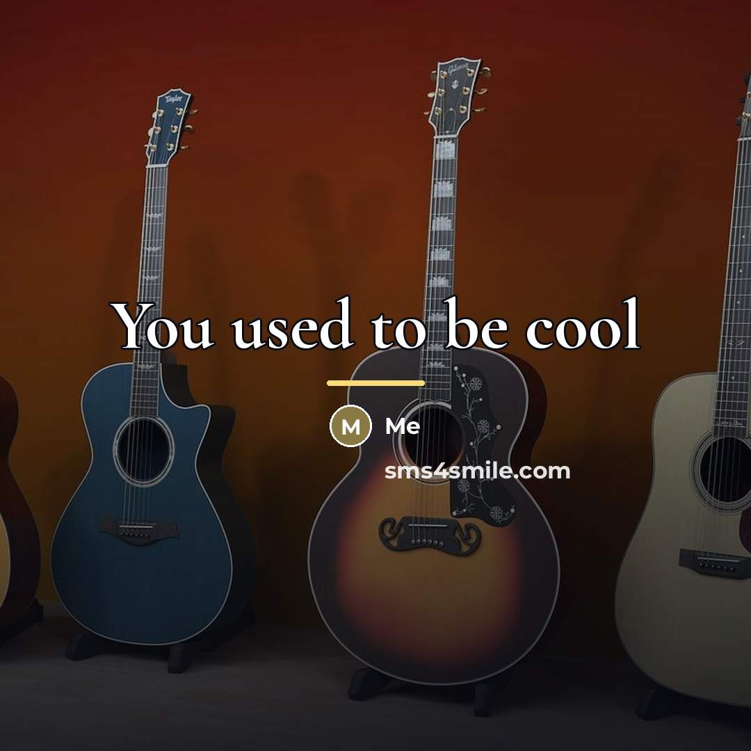 “You used to be cool…” quote by Me