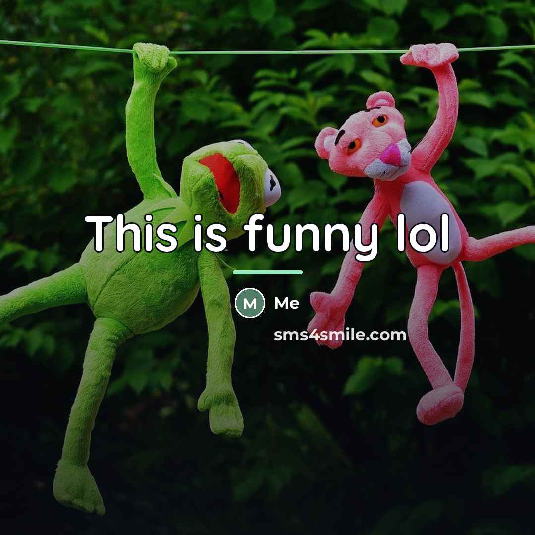 “This is funny lol…” quote by Me