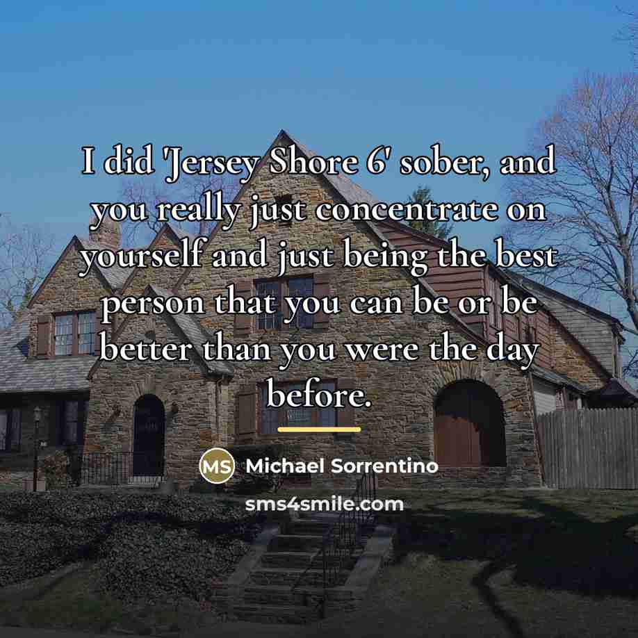 “I did 'Jersey Shore 6' sober, and you really just…” quote by Michael Sorrentino