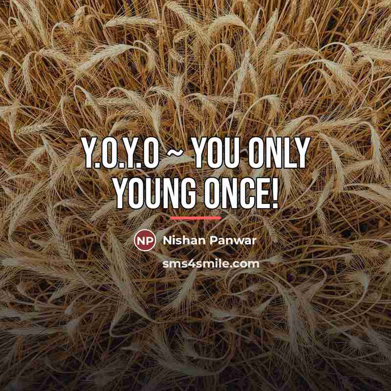 “Y.O.Y.O ~ You only young once!…” quote by Nishan Panwar