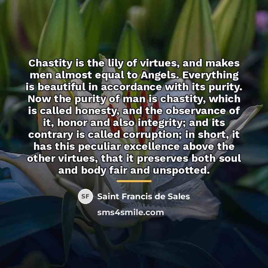 “Chastity is the lily of virtues, and makes men almost…” quote by Saint Francis de Sales