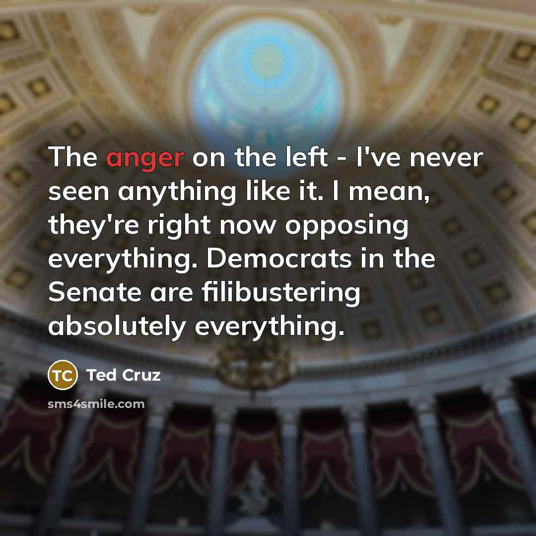 “The anger on the left - I've never seen anything…” quote by Ted Cruz