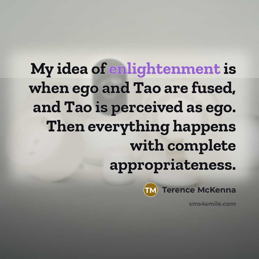 “My idea of enlightenment is when ego and Tao are…” quote by Terence McKenna