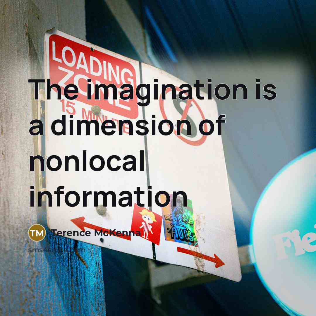 “The imagination is a dimension of nonlocal information…” quote by Terence McKenna