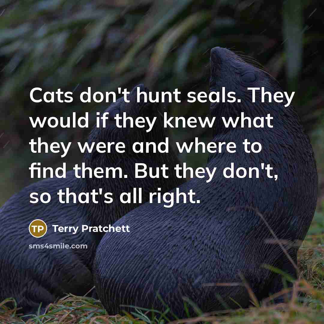 “Cats don't hunt seals. They would if they knew what…” quote by Terry Pratchett
