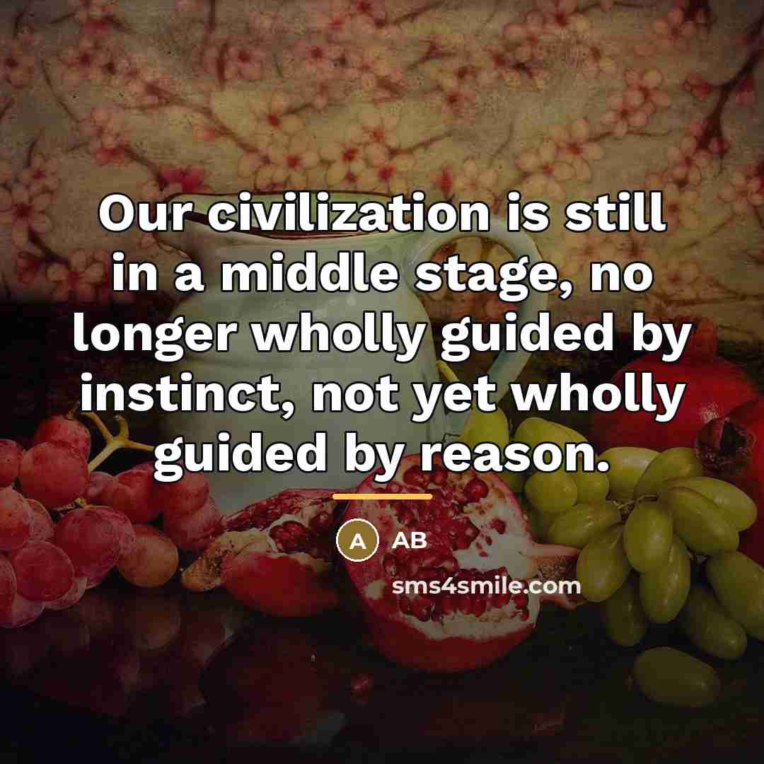 “Our civilization is still in a middle stage, no longer…” quote by AB