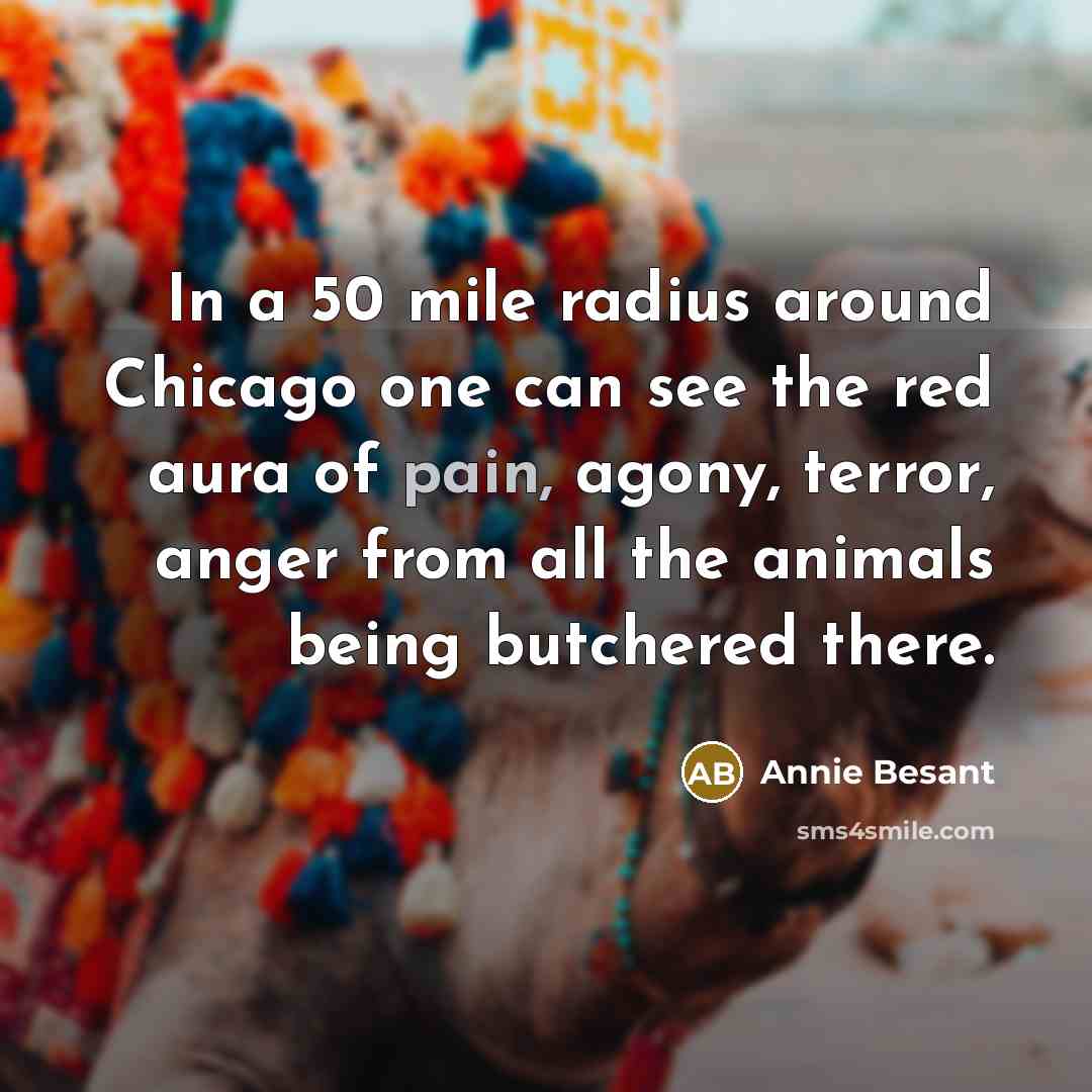“In a 50 mile radius around Chicago one can see…” quote by Annie Besant