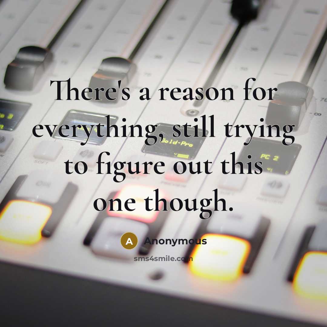“There's a reason for everything, still trying to figure out this one though.” quote by Anonymous