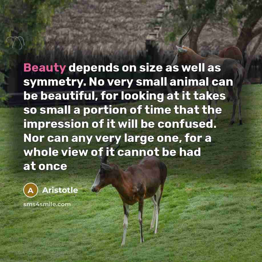 “Beauty depends on size as well as symmetry. No very…” quote by Aristotle