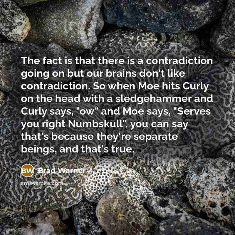 “The fact is that there is a contradiction going on…” quote by Brad Warner