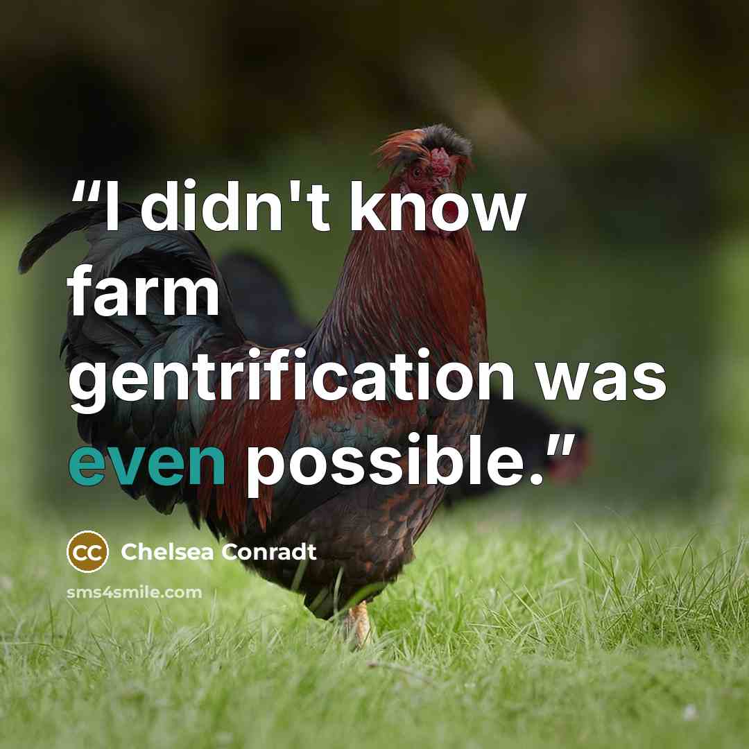 “I didn't know farm gentrification was even possible.” quote by Chelsea Conradt