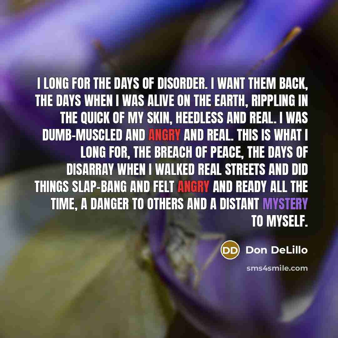 “I long for the days of disorder. I want them…” quote by Don DeLillo