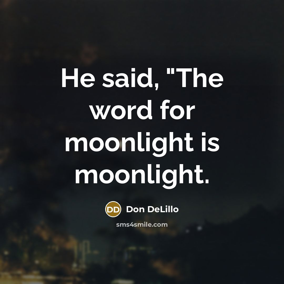 “He said, "The word for moonlight is moonlight.…” quote by Don DeLillo