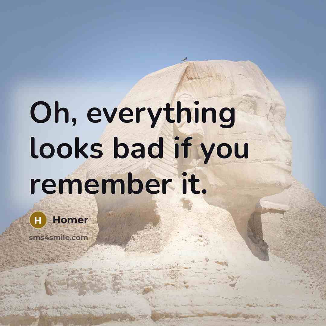 “Oh, everything looks bad if you remember it.…” quote by Homer