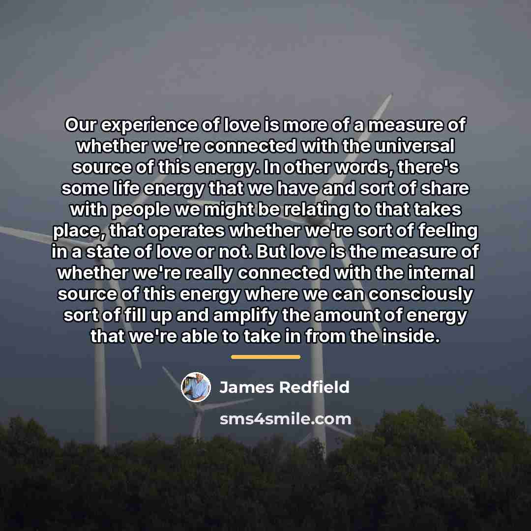 “Our experience of love is more of a measure of…” quote by James Redfield