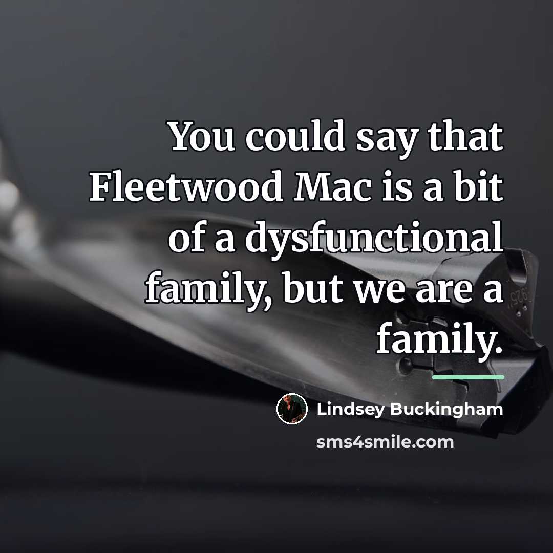 “You could say that Fleetwood Mac is a bit of…” quote by Lindsey Buckingham