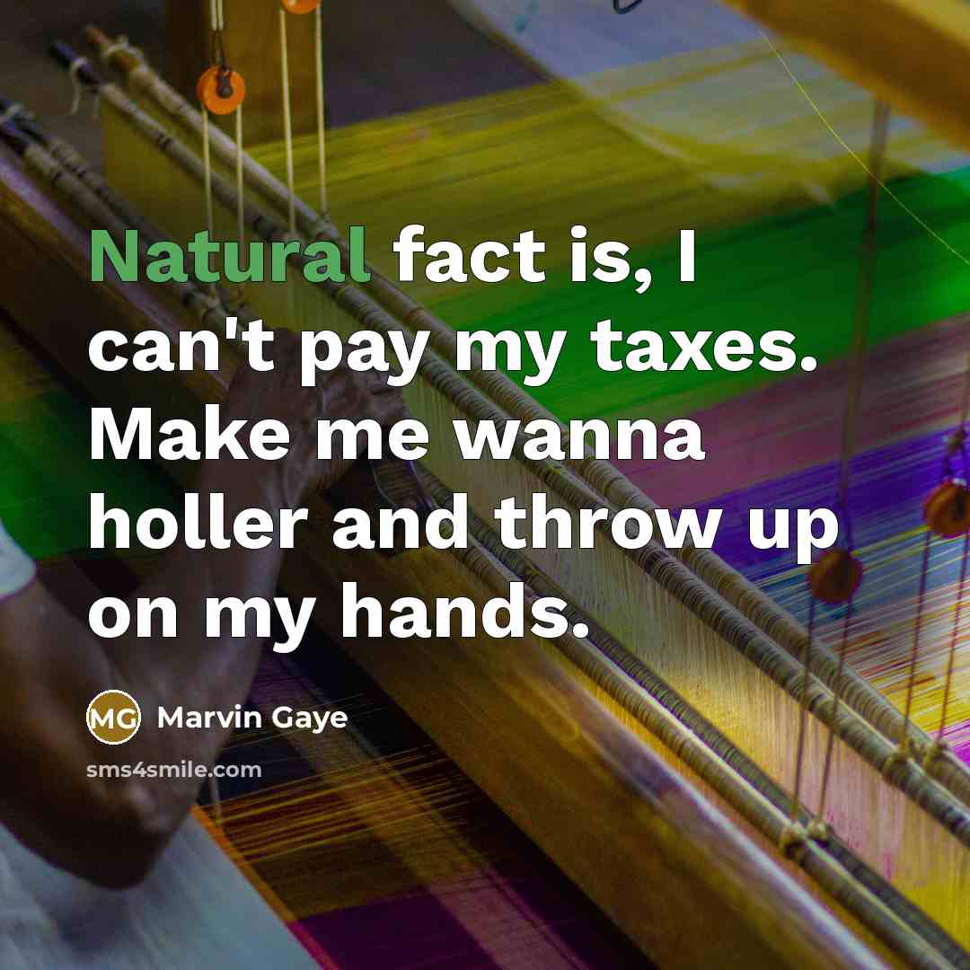 “Natural fact is, I can't pay my taxes. Make me…” quote by Marvin Gaye