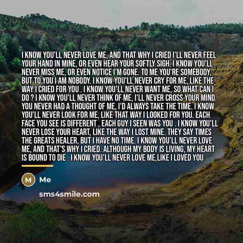 “I know you'll never love me, and that why I…” quote by Me