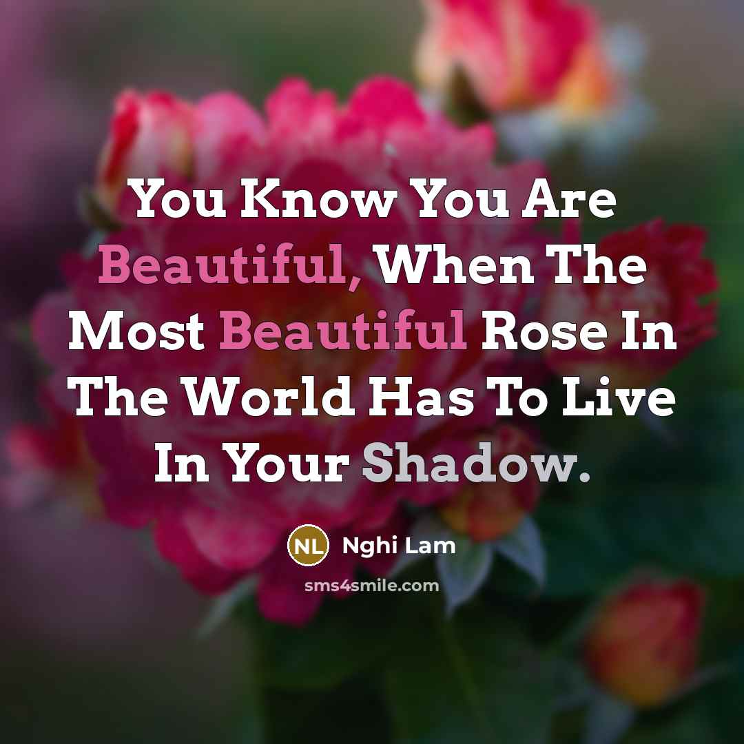 “You Know You Are Beautiful, When The Most Beautiful Rose In The World Has To Live In Your Shadow.” quote by Nghi Lam