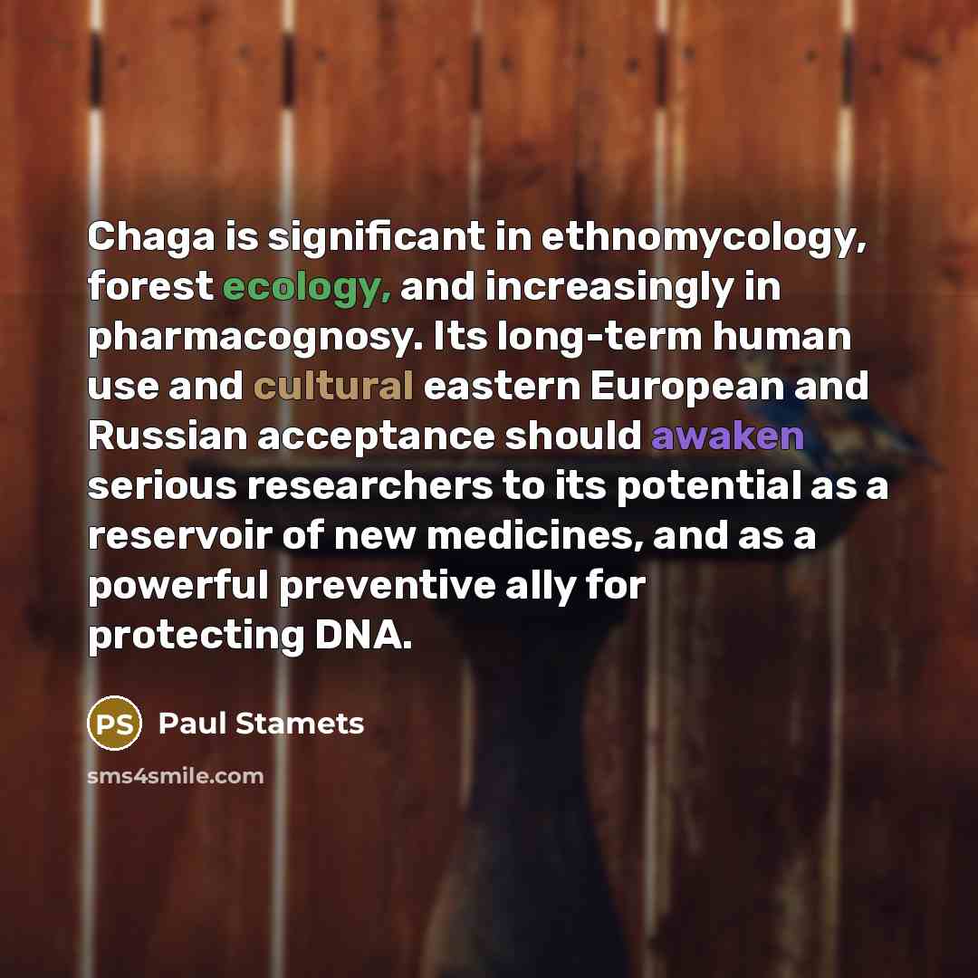 “Chaga is significant in ethnomycology, forest ecology, and increasingly in…” quote by Paul Stamets