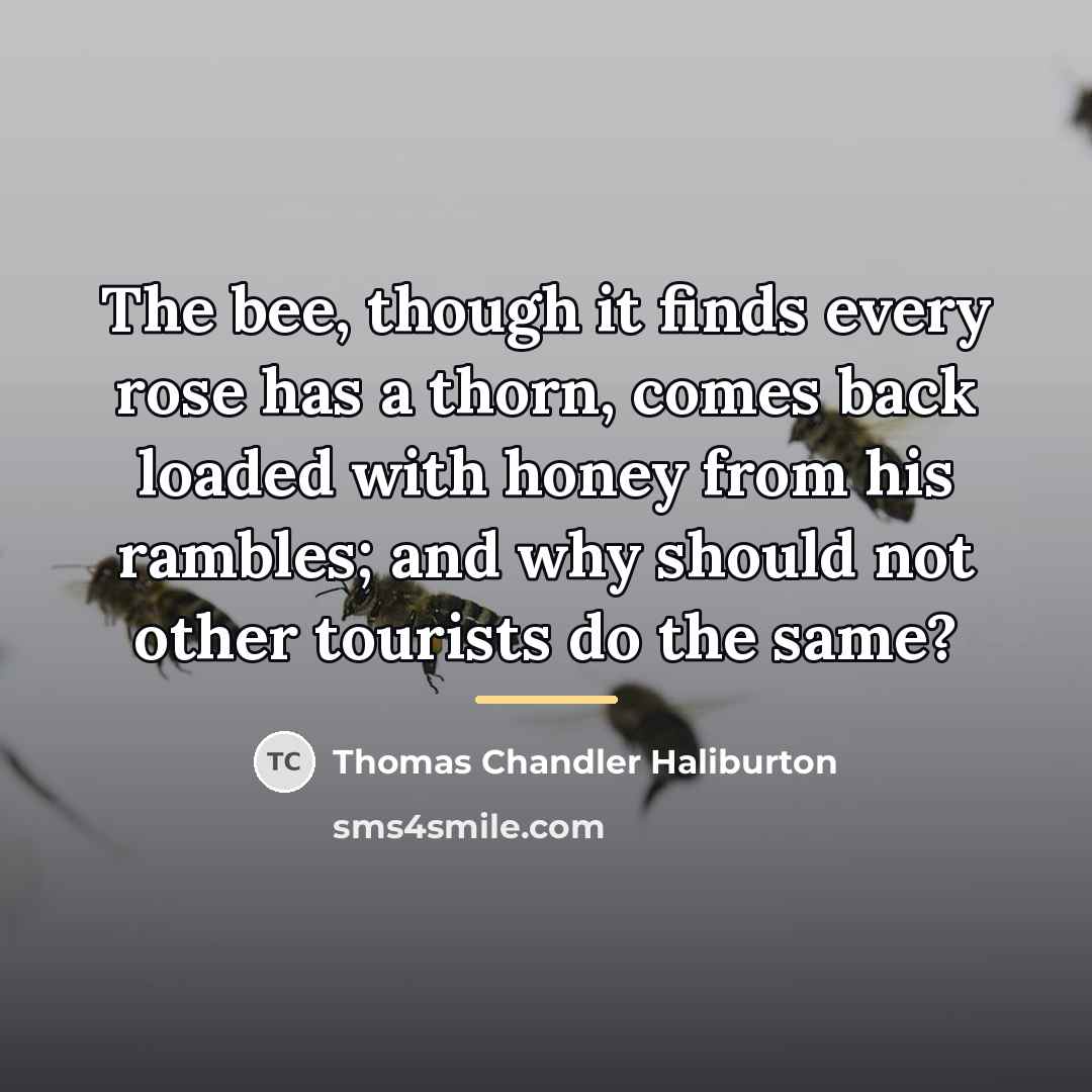 “The bee, though it finds every rose has a thorn,…” quote by Thomas Chandler Haliburton