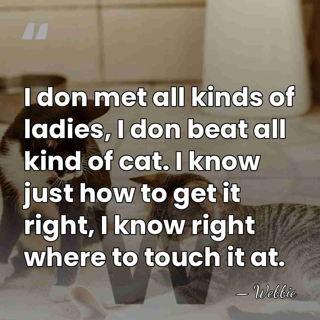I don met all kinds of ladies, I don beat all kind&hellip; - Webbie