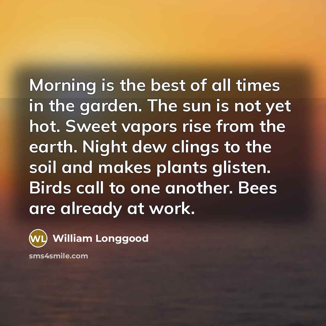 “Morning is the best of all times in the garden.…” quote by William Longgood