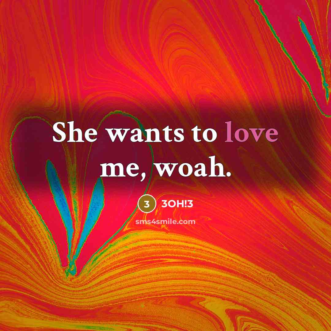 “She wants to love me, woah.…” quote by 3OH!3