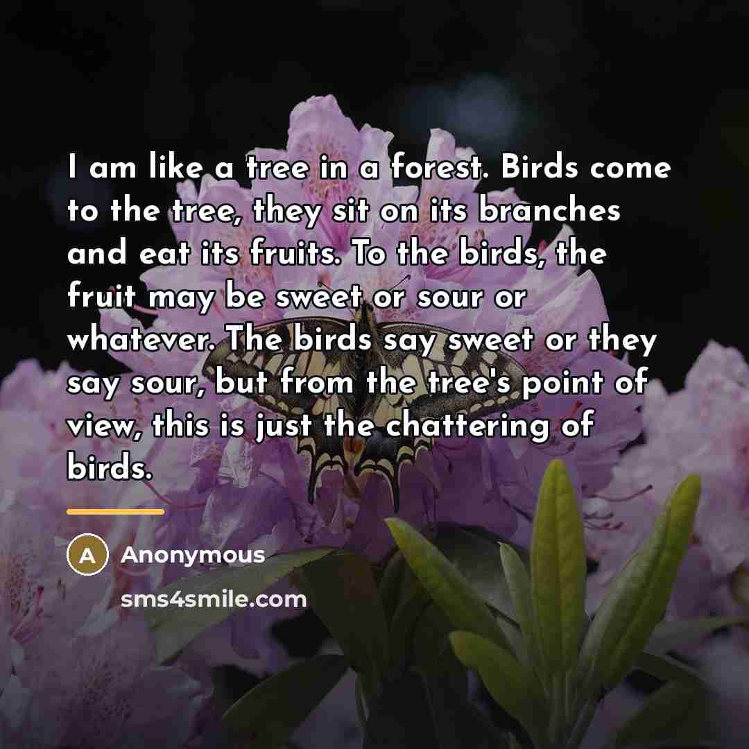 “I am like a tree in a forest. Birds come…” quote by Anonymous