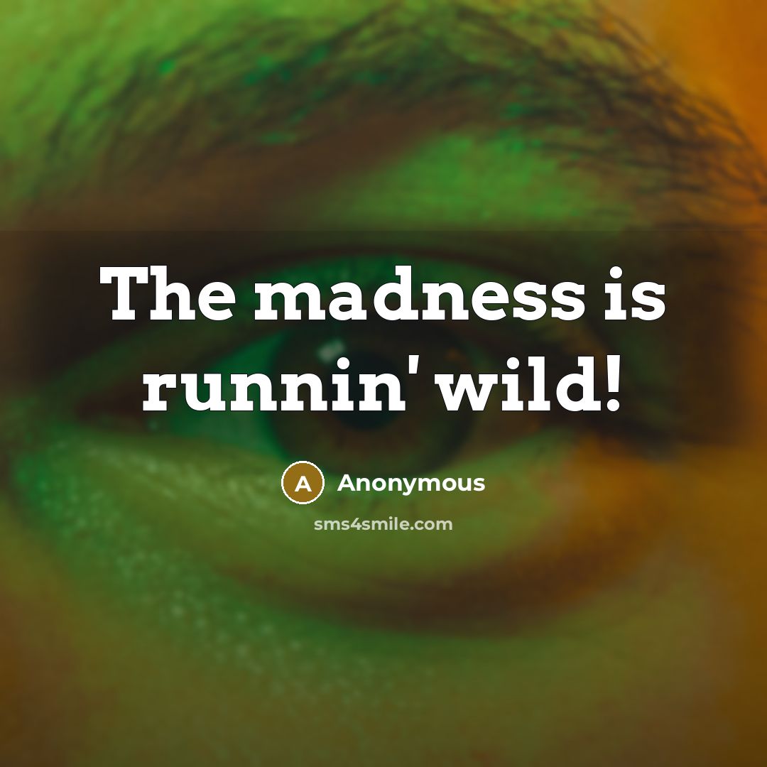 “The madness is runnin' wild!…” quote by Anonymous