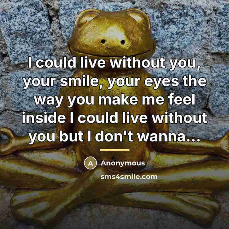 “I could live without you, your smile, your eyes the way you make me feel inside I could live without you but I don't wanna...” quote by Anonymous