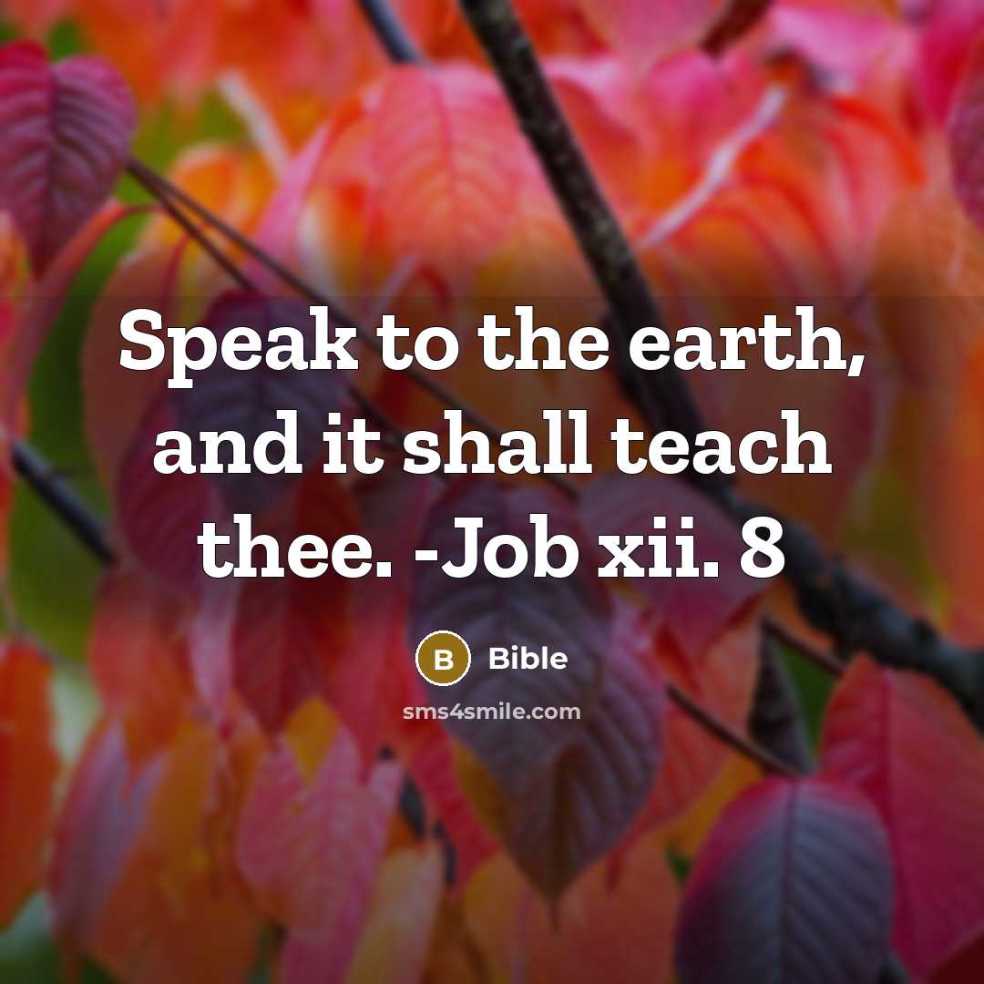 “Speak to the earth, and it shall teach thee. -Job xii. 8” quote by Bible