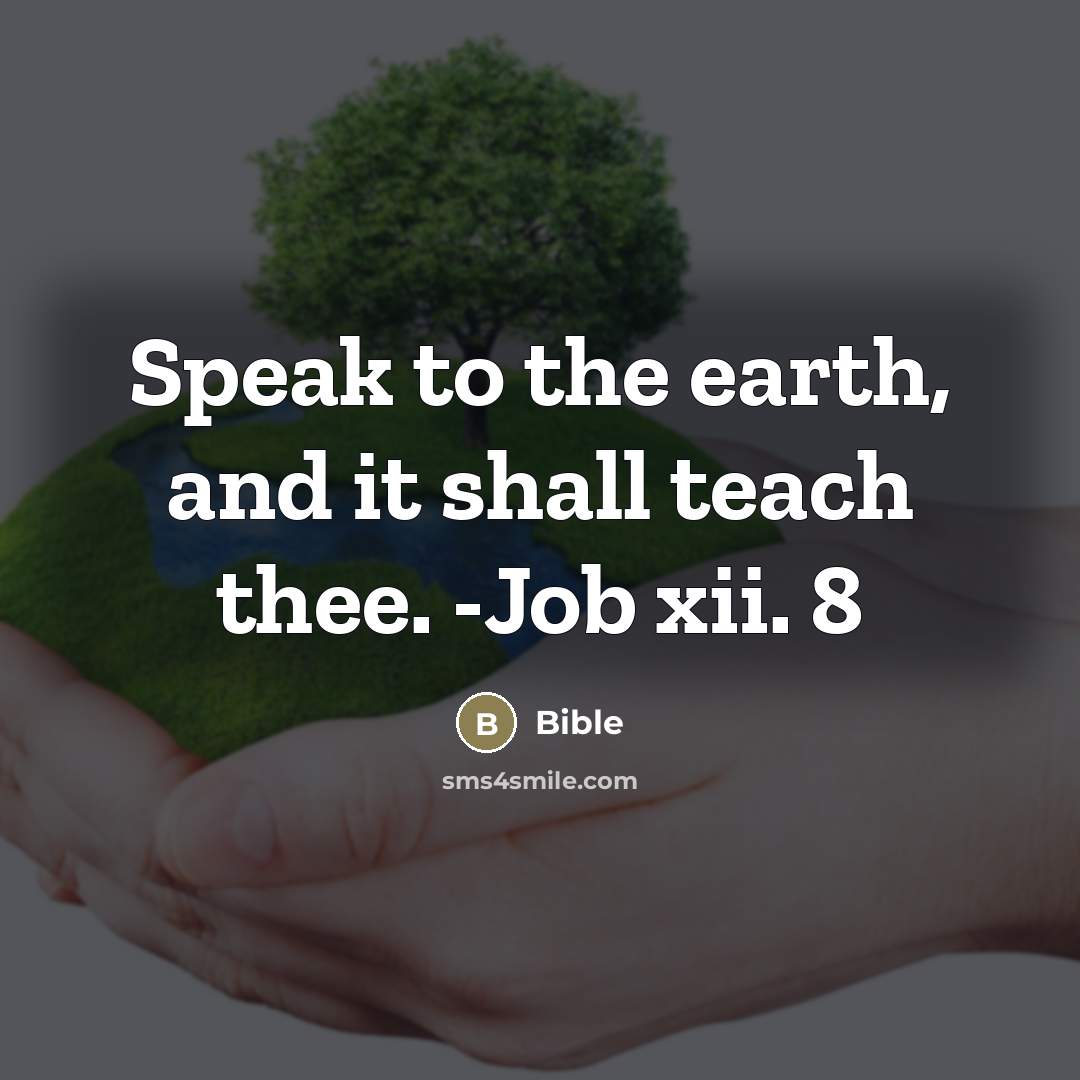 “Speak to the earth, and it shall teach thee. -Job…” quote by Bible