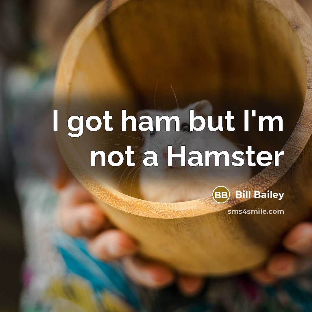 “I got ham but I'm not a Hamster…” quote by Bill Bailey