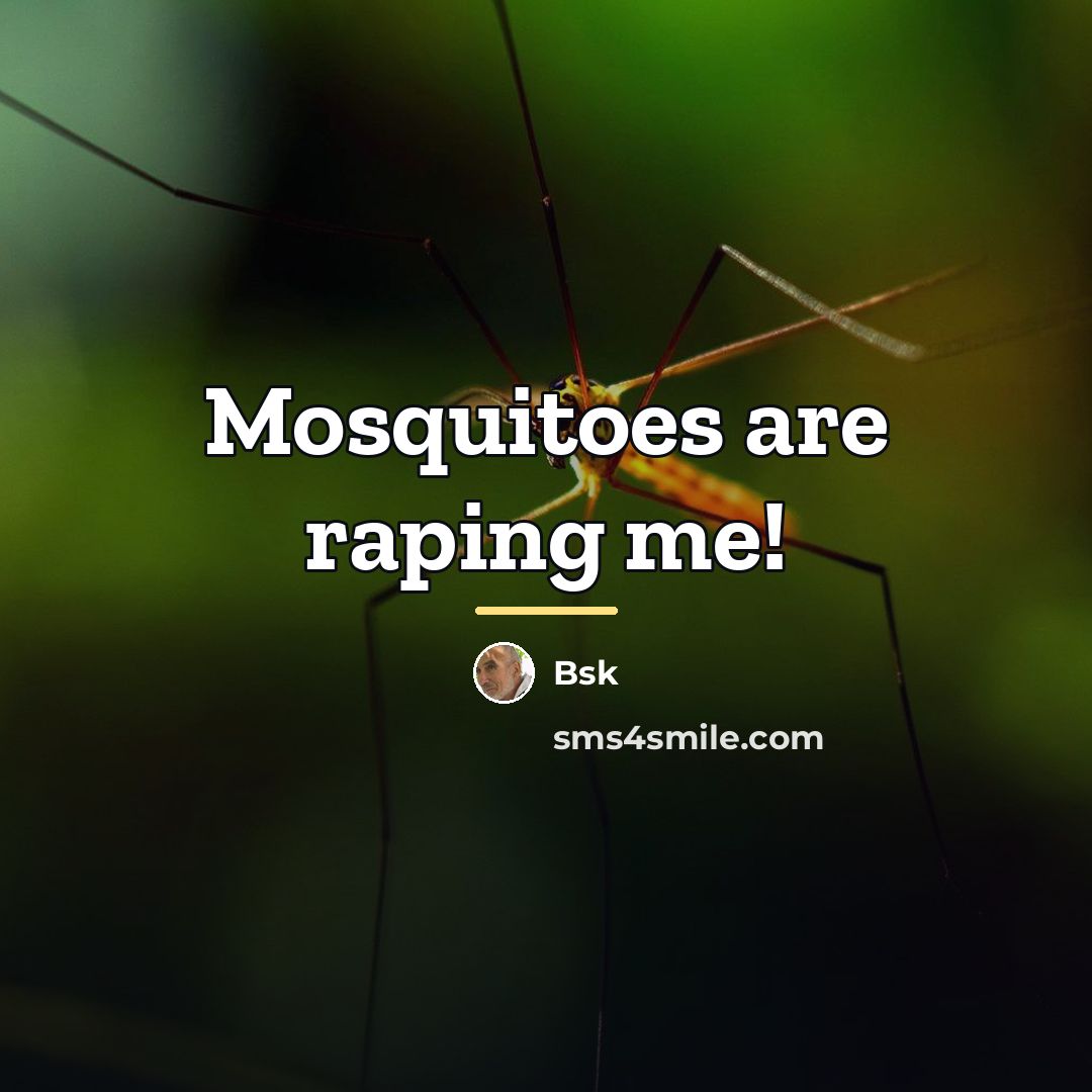 “Mosquitoes are raping me!…” quote by Bsk