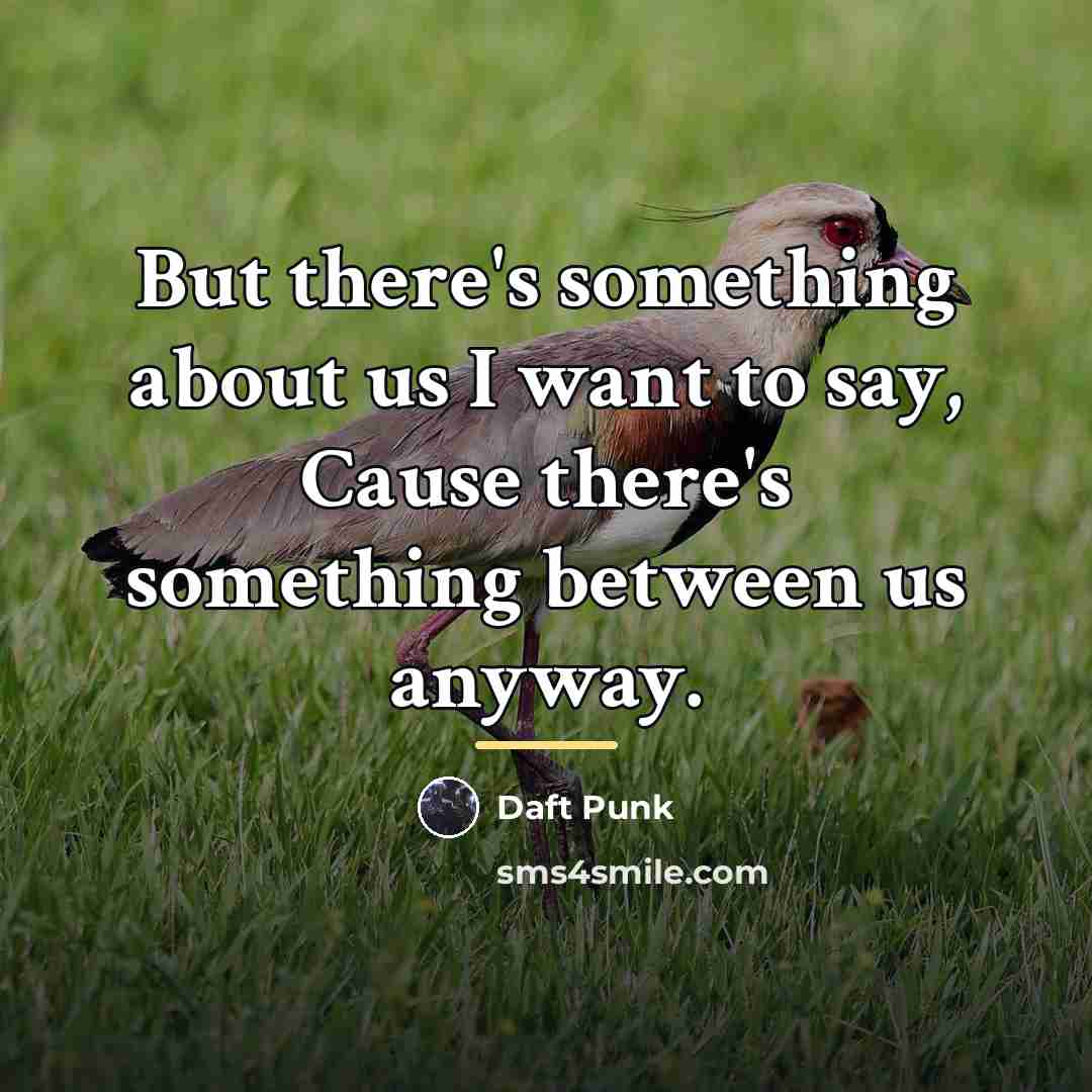 “But there's something about us I want to say, Cause…” quote by Daft Punk