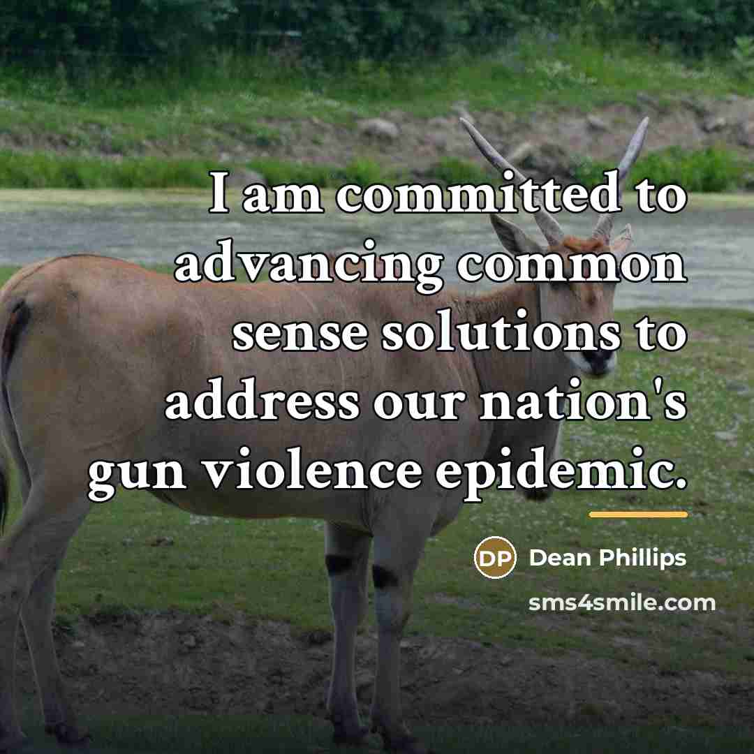 “I am committed to advancing common sense solutions to address…” quote by Dean Phillips