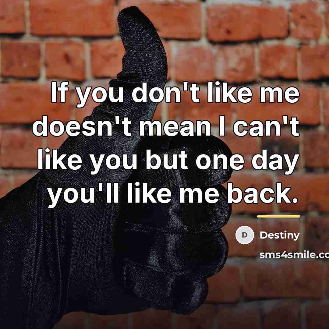 “If you don't like me doesn't mean I can't like…” quote by Destiny