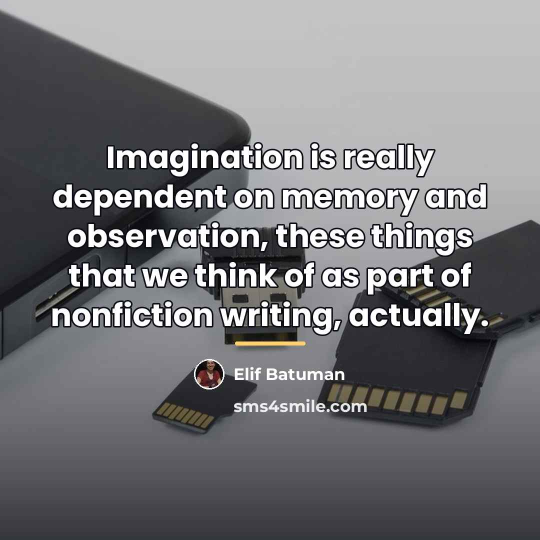 “Imagination is really dependent on memory and observation, these things…” quote by Elif Batuman